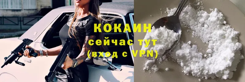 Cocaine Эквадор  цены   Сертолово 