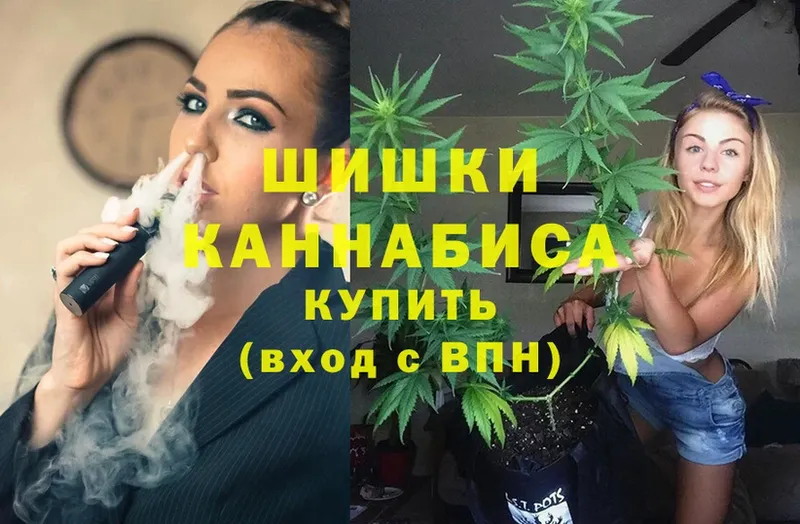 где можно купить наркотик  Сертолово  Бошки марихуана White Widow 